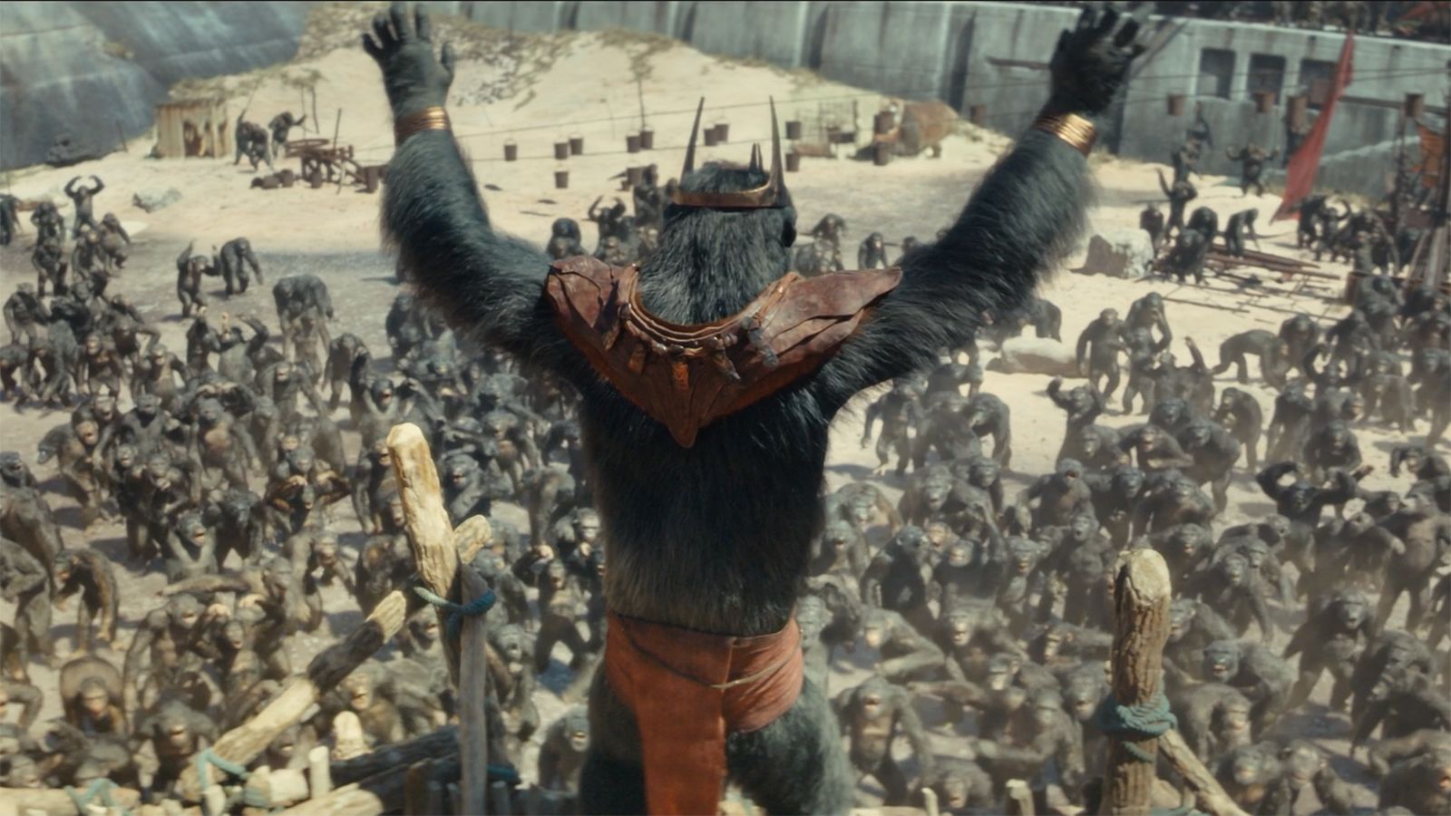 Kingdom of The of The Apes Everything We Know So Far The Bigflix